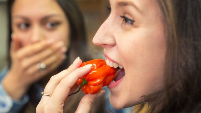 ¿Por qué los humanos somos prácticamente los únicos mamíferos a los que les gusta el picante?