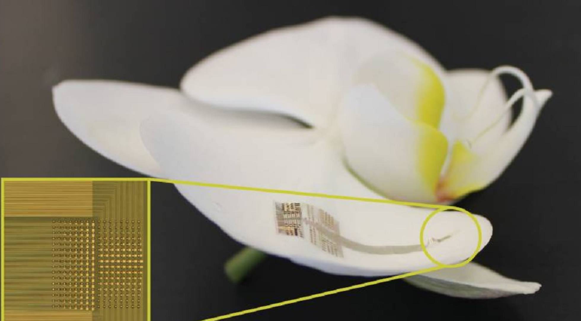 Los implantes con los que compartiremos cuerpo