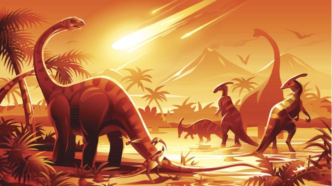 ¿Cuál será la especie dominante si los humanos nos extinguimos?