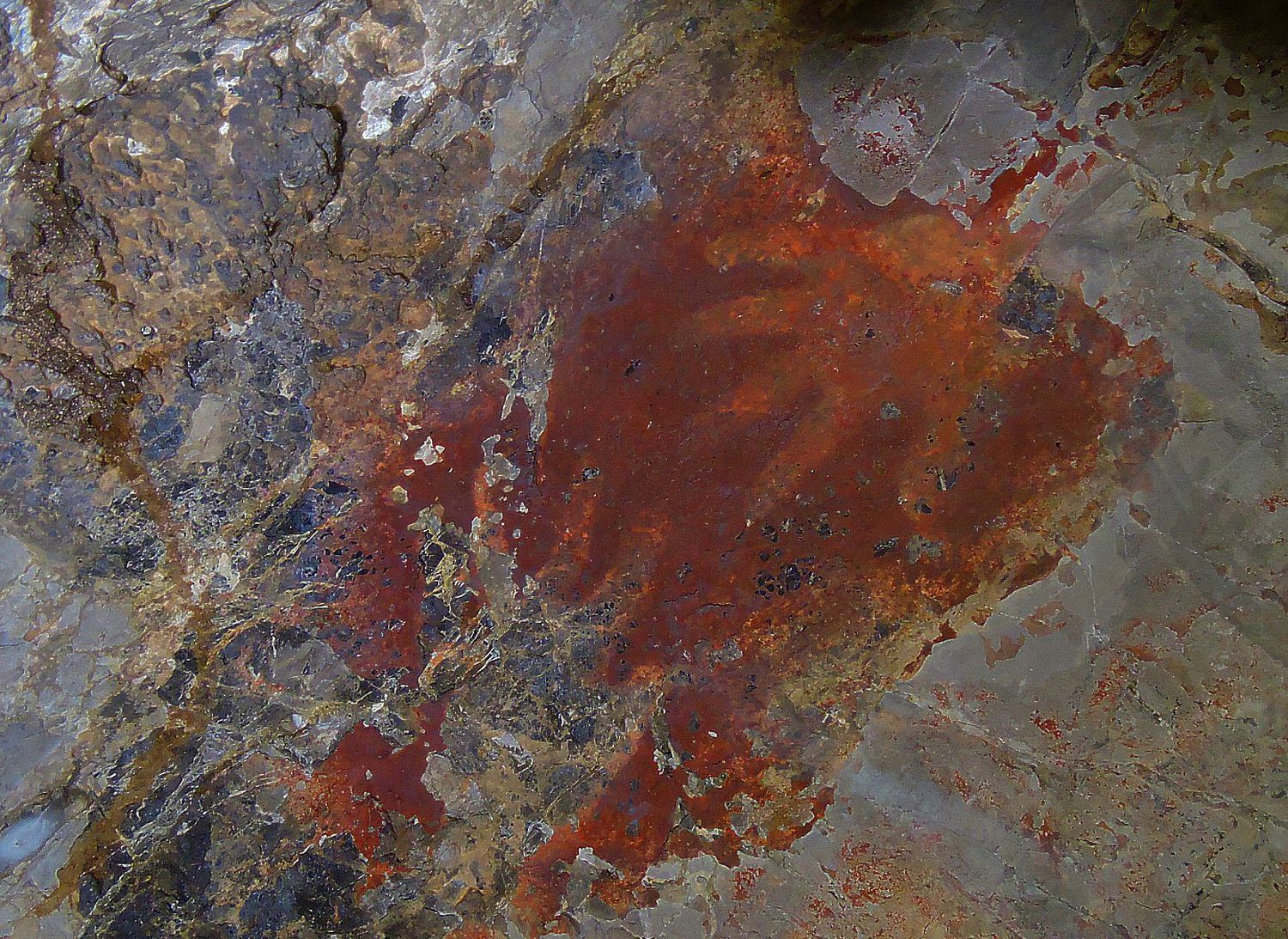 El indescifrable origen de la primera obra de arte