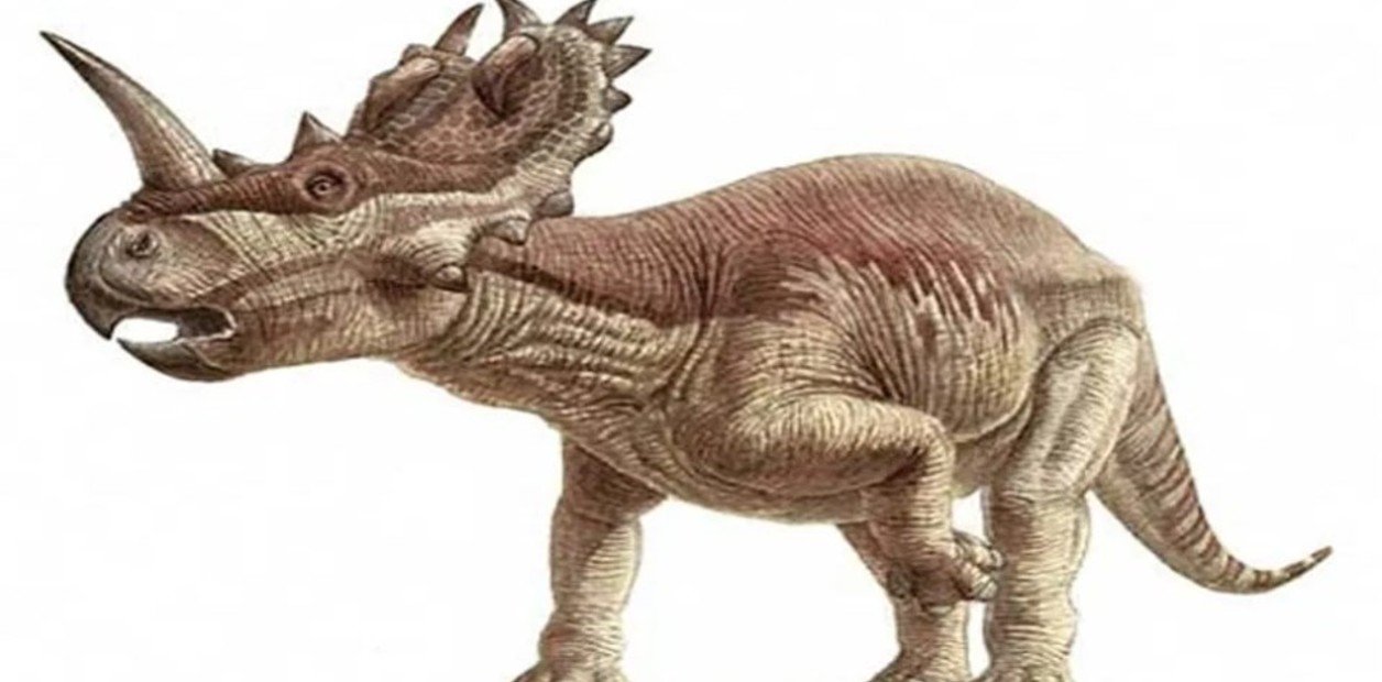 Diagnostican tumor maligno en dinosaurio que murió hace 76 millones de años