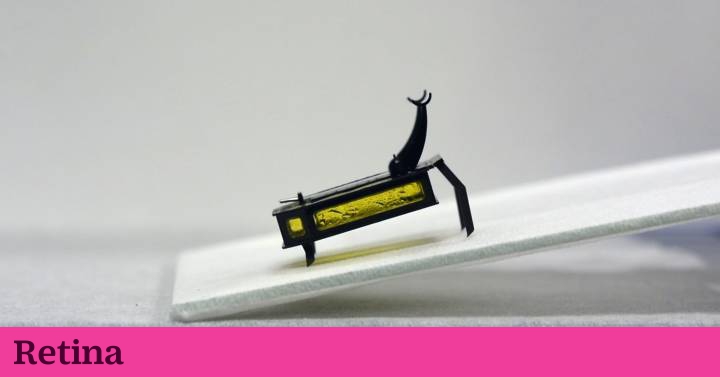 Objetivo: crear enjambres de insectos robot capaces de actuar coordinados