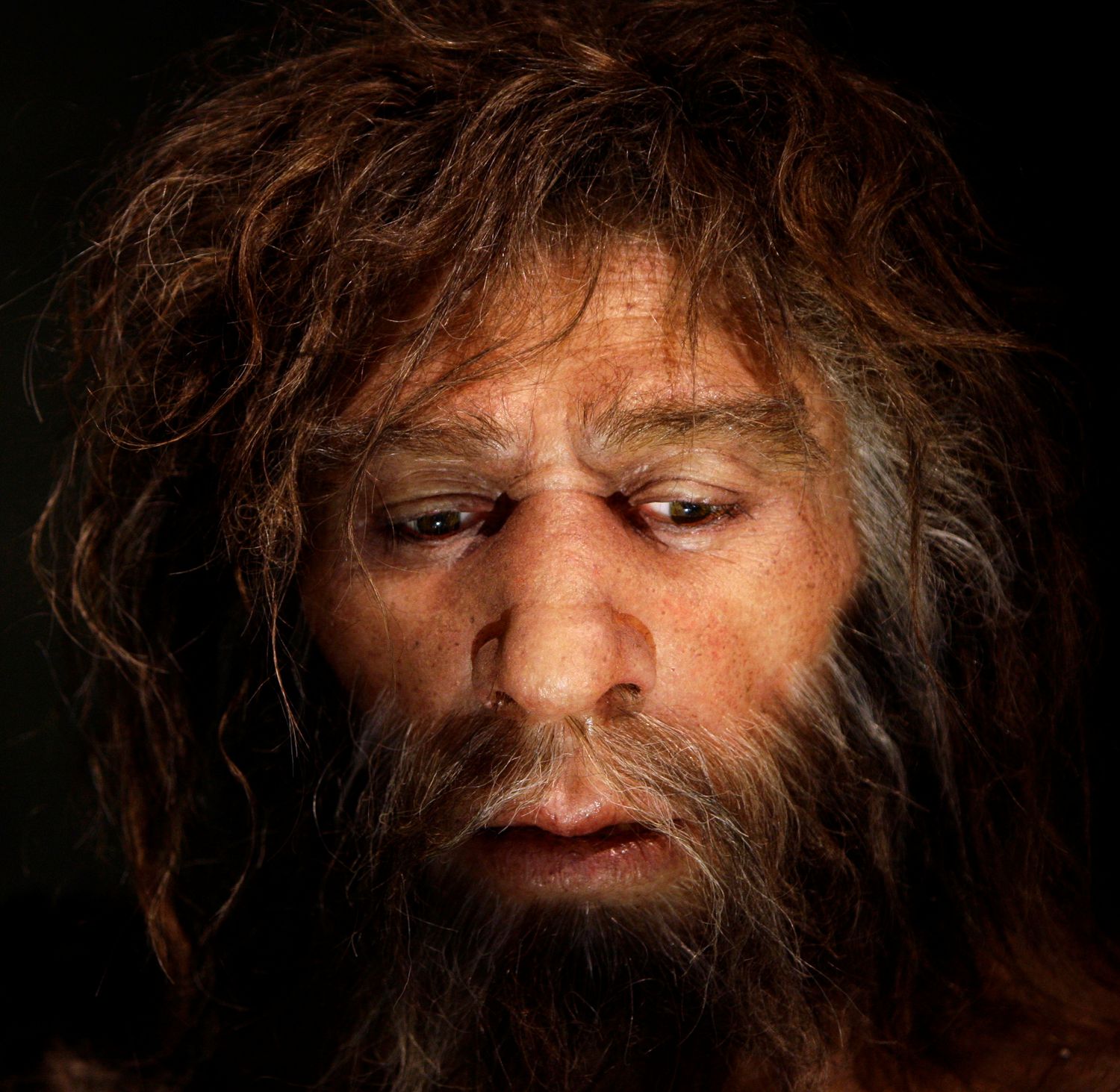Tolerancia neandertal