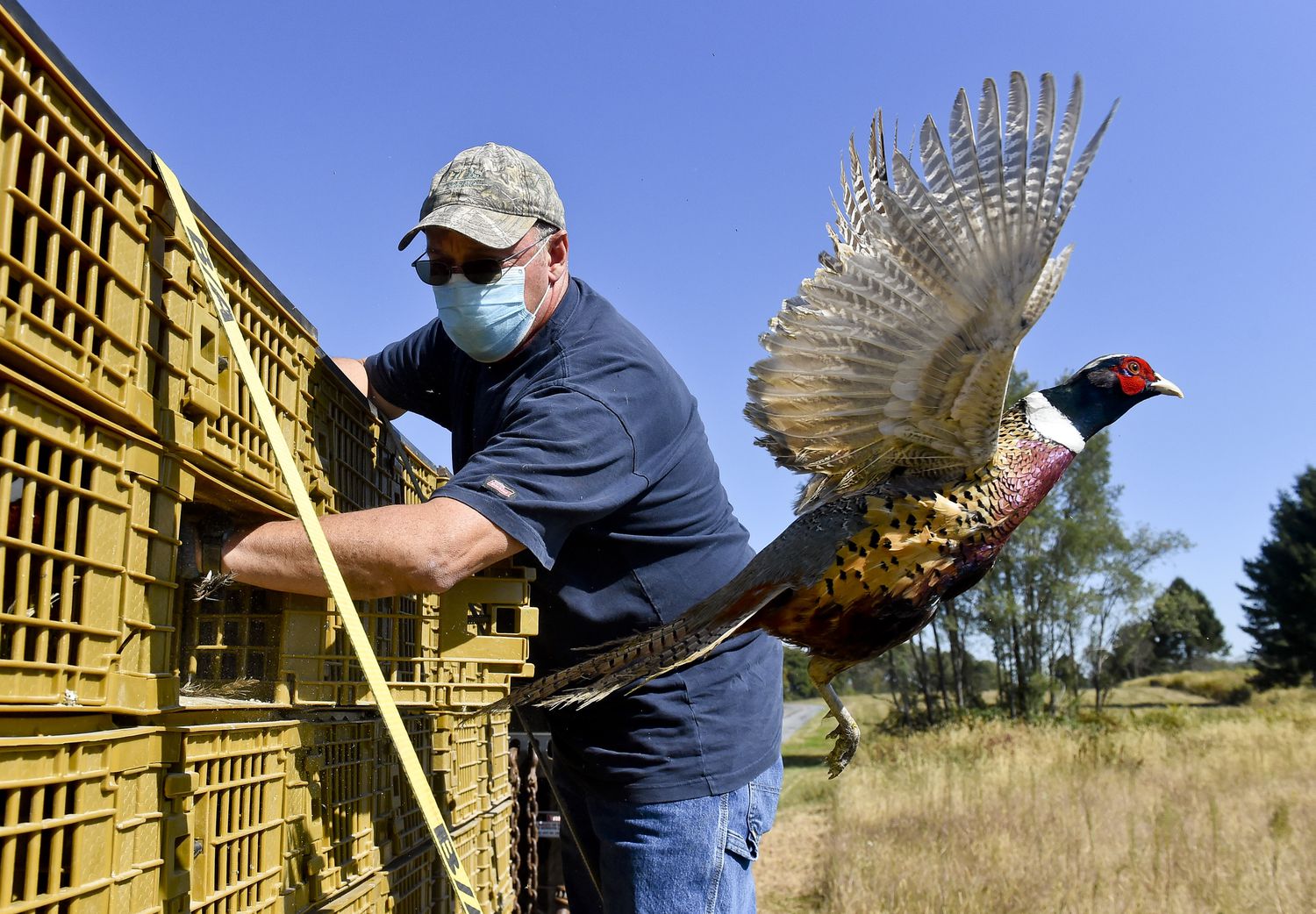 Hasta 850.000 virus desconocidos en aves y mamíferos podrían dar el salto a los humanos