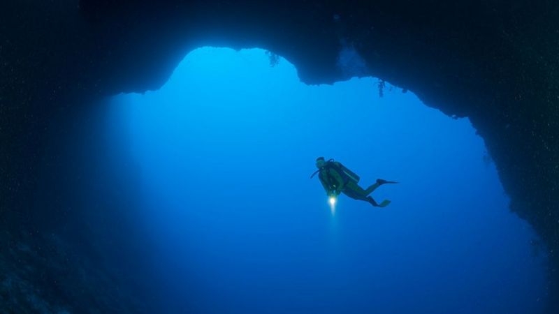 Exploración del Green Banana: cómo fue la primera inmersión de uno de los enigmáticos agujeros azules del Golfo de México