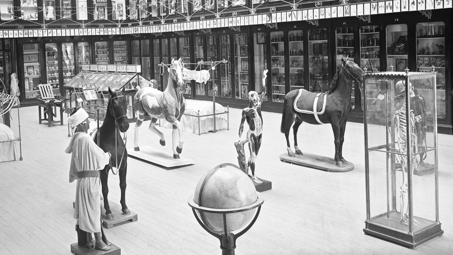 Las tres mentiras de la leyenda macabra del doctor Velasco