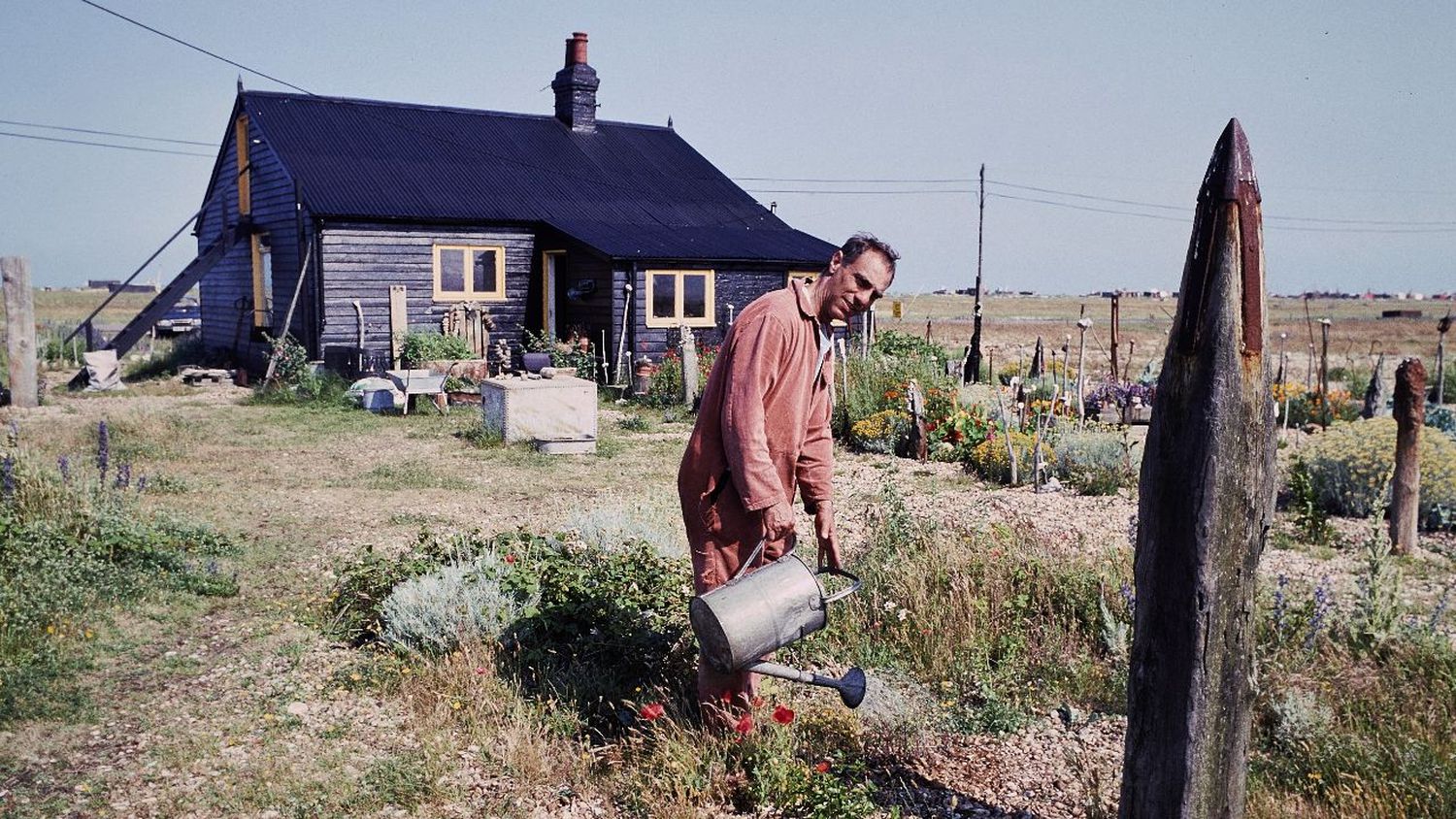 Derek Jarman, el cineasta que debió ser jardinero