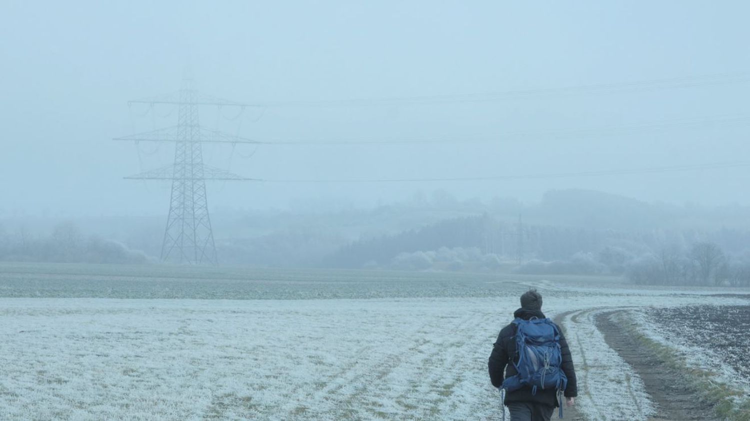 La cinefilia de la cinefilia