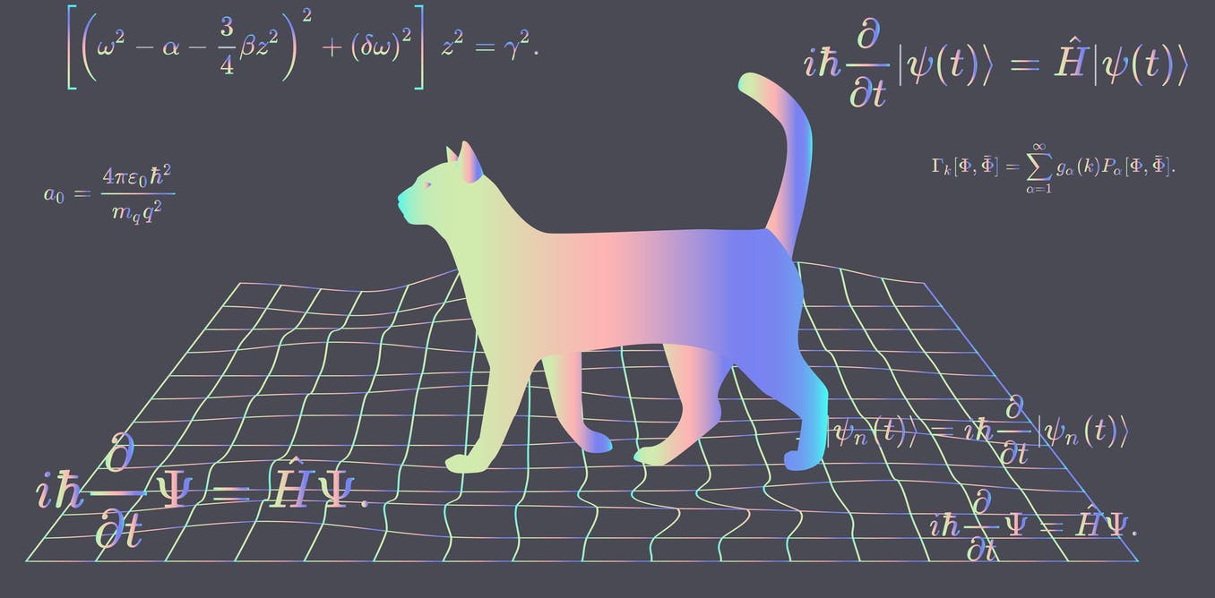 ¿Qué pasó con el gato filósofo de Schrödinger, el experimento más famoso de la física cuántica?