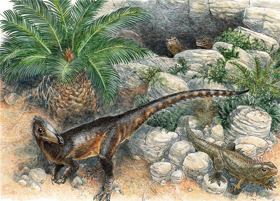 Hallado en La Rioja el rastro de uno de los dinosaurios más rápidos