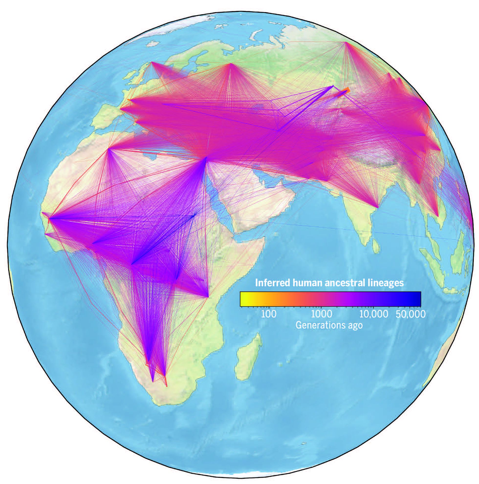El primer árbol genealógico de todos los humanos se remonta más de 2.000 generaciones