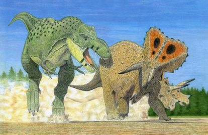 El ‘Tyrannosaurus’ podría ser tres especies en lugar de una