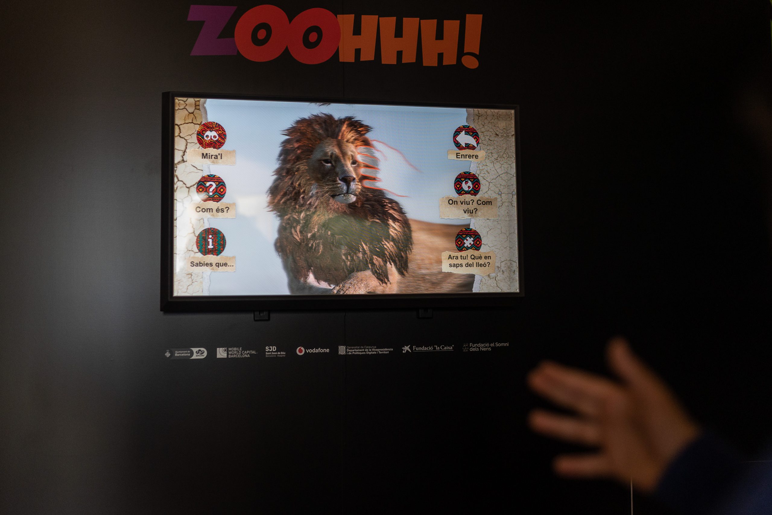 Un pequeño metaverso zoológico para distraer a los pacientes de un hospital infantil