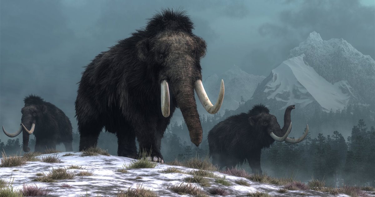 Clonar mamuts y otros animales extintos es «imposible o muy difícil»