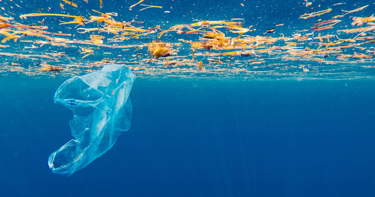 El reciclaje del plástico, una asignatura pendiente a nivel global
