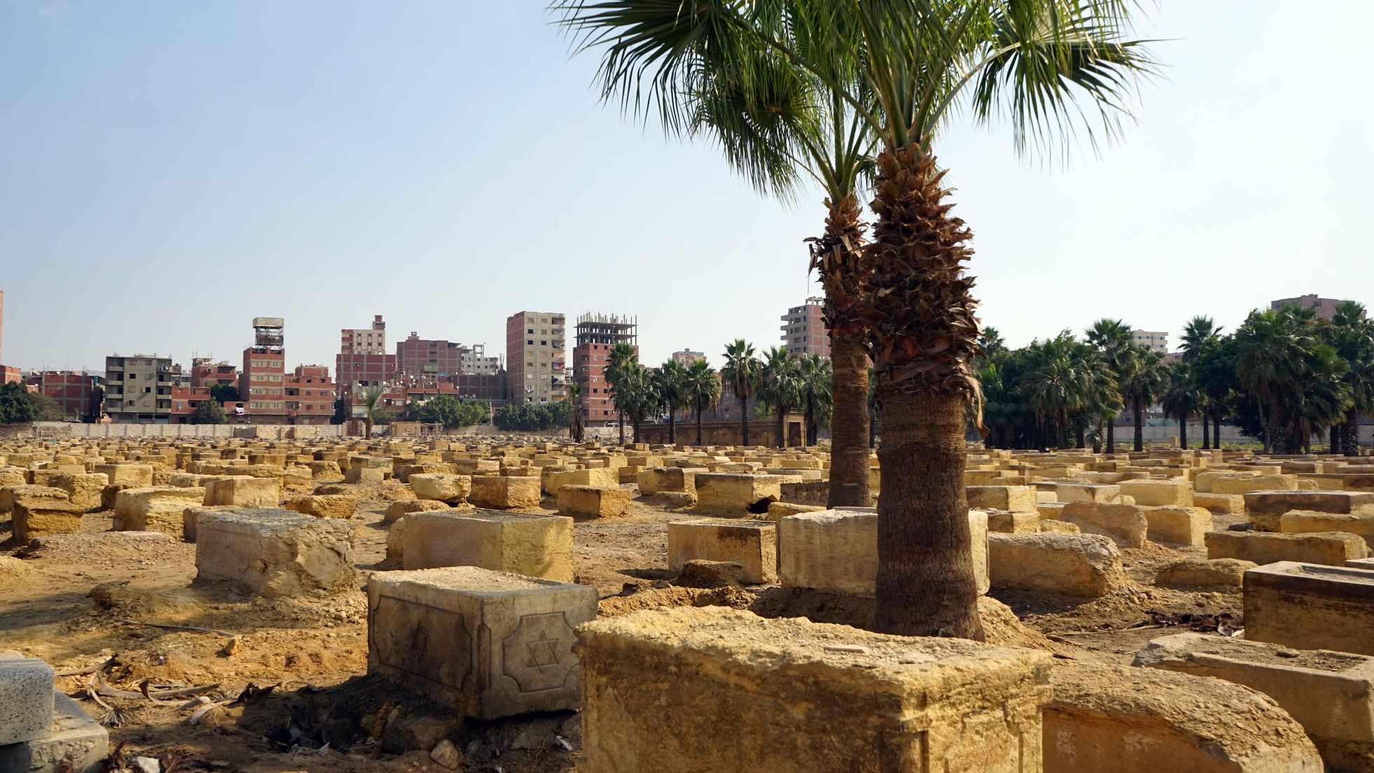 El rastreador de los apellidos judíos de Egipto