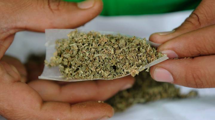 Cómo el consumo de marihuana afecta nuestra mente