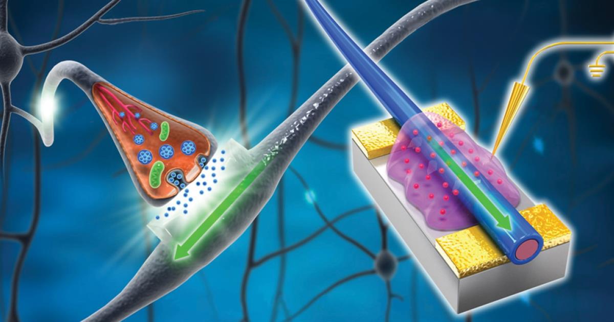 Cómo hacer que los chips de las computadoras actúen más como neuronas