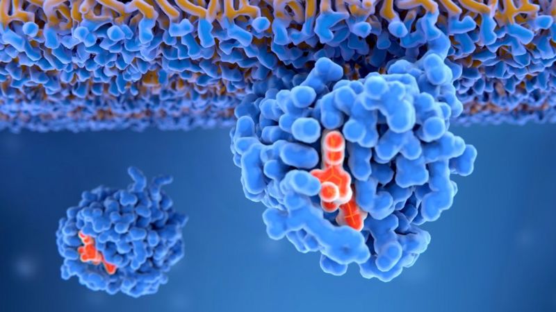 KRAS, la proteína «maldita» del cáncer que es el objetivo de las investigaciones para los tratamientos modernos