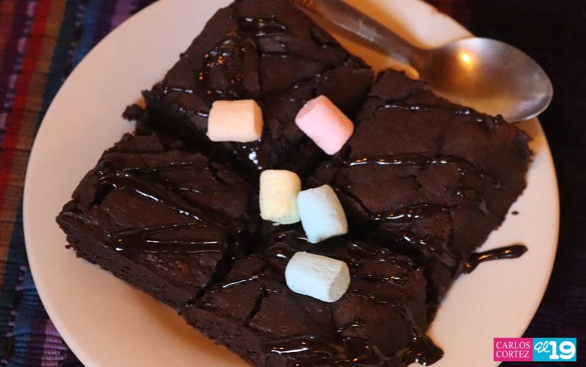 Fortalecen producción de cacao orgánico